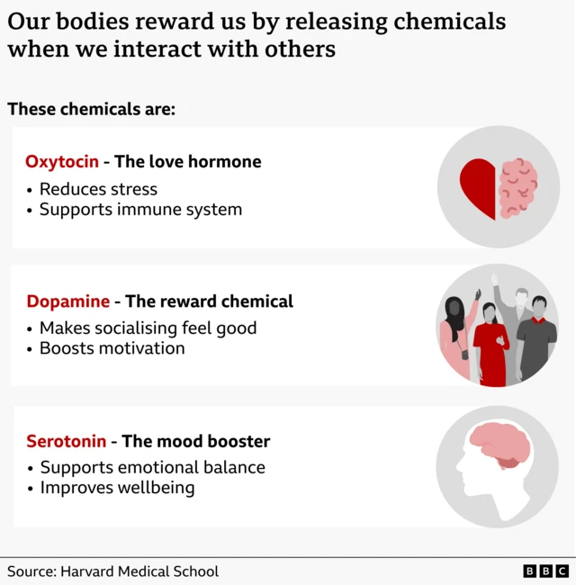 사람들이 사회적 교류를 할 때 분비되는 세 가지 화학물질을 보여주는 그래픽. 옥시토신은 사랑 호르몬으로 스트레스를 줄이고 면역 체계를 돕고, 도파민은 보상 화학물질로 사교 활동을 즐겁게 느끼게 하고 동기를 높인다. 또 세로토닌은 기분을 좋게 하는 물질로 감정의 균형을 돕고 전반적인 웰빙을 향상시킨다 