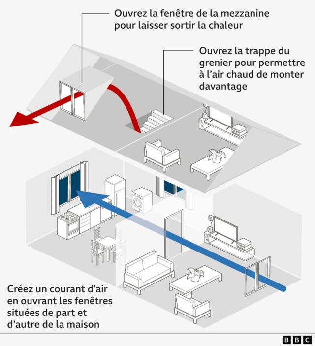 Un schéma illustrant comment créer des courants d'air croisés en ouvrant des fenêtres situées de part et d'autre d'une maison, et comment évacuer l'air chaud en ouvrant une trappe ou une fenêtre de grenier.