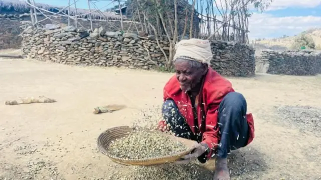 እርጅናና መከራ የተፈራረቀባቸው አርሶ አደር አቶ ገብረመድህን ገብረማርያም