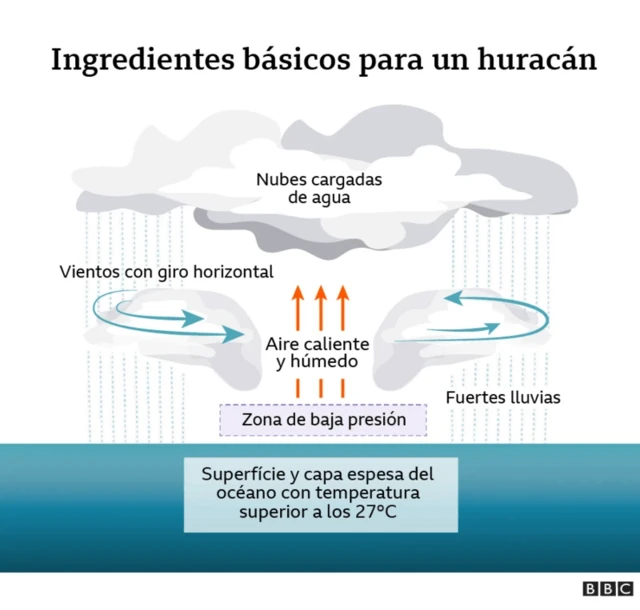 Gráfico que muestra los ingredientes necesarios para el surgimiento de un huracán