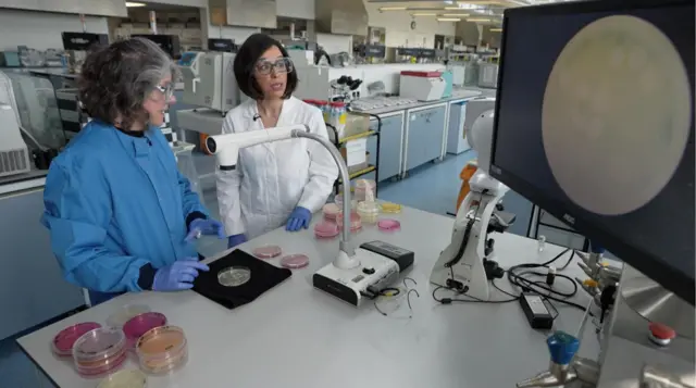 Доктор Мария Ботей-Сало