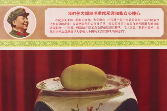 வங்கதேசம், இந்தியா, முகமது யூனஸ், மாம்பழங்கள், நரேந்திர மோதி, ஜவஹர்லால் நேரு, மாம்பழ வரலாறு