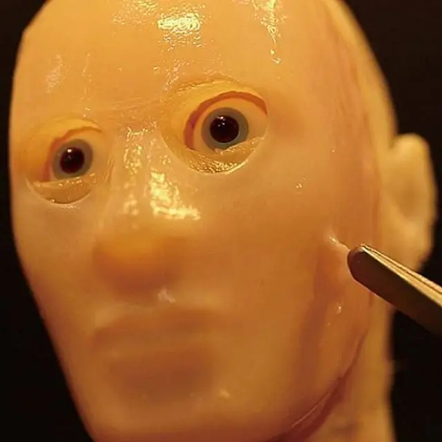 Prototipo de piel artificial sobre el rostro de un robot