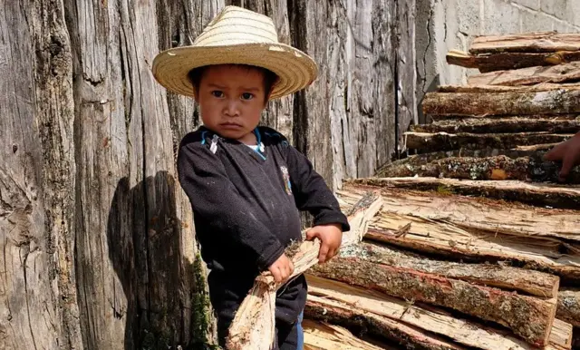 Un jeune garçon empile du bois de chauffage.