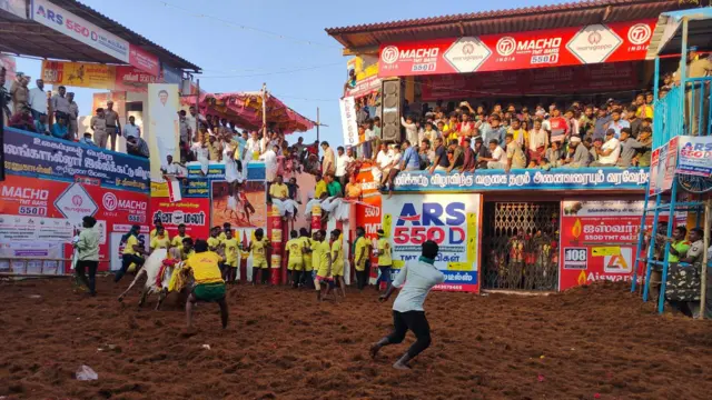 அலங்காநல்லூர் ஜல்லிக்கட்டு