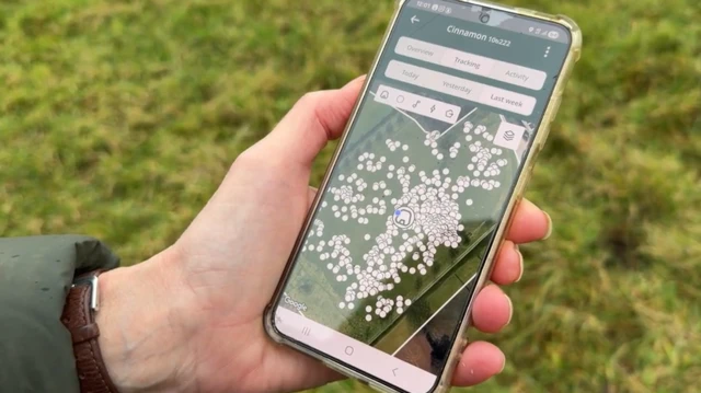 Una mano sostiene un teléfono mostrando una gran cantidad de puntos blancos agrupados en la pantalla. El fondo es una imagen satelital verde del campo.
