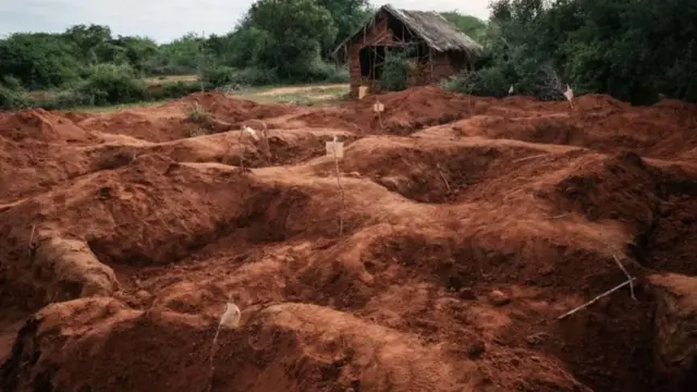 ෂකහෝලා වනාන්තරයෙන් සමූහ මිනීවළවල් කිහිපයක් සොයා ගැනිණි