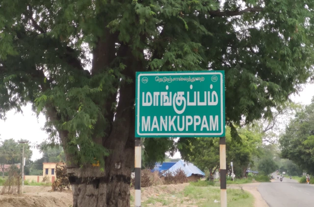 மாங்கூழ் தொழிற்சாலைகளால் ஆபத்து