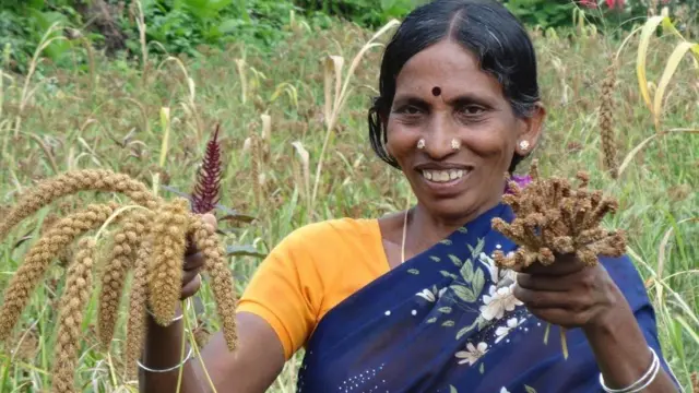 स्वामीनाथन