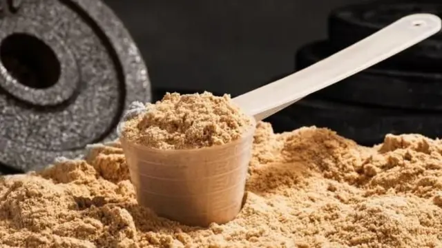 ਪ੍ਰੋਟੀਨ 