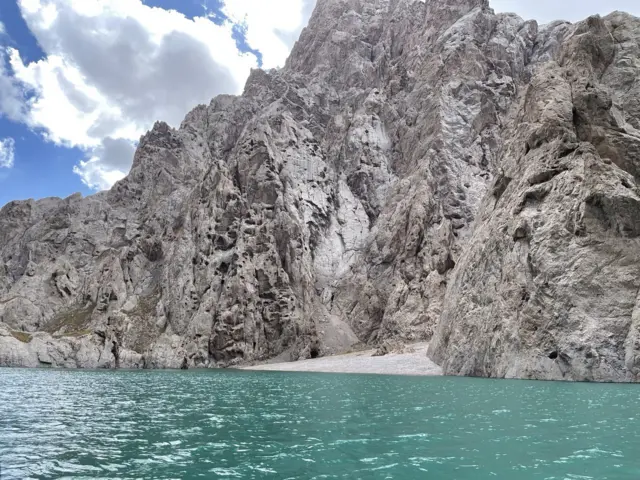 Бул зоолордун жанында адам кыпын эле...