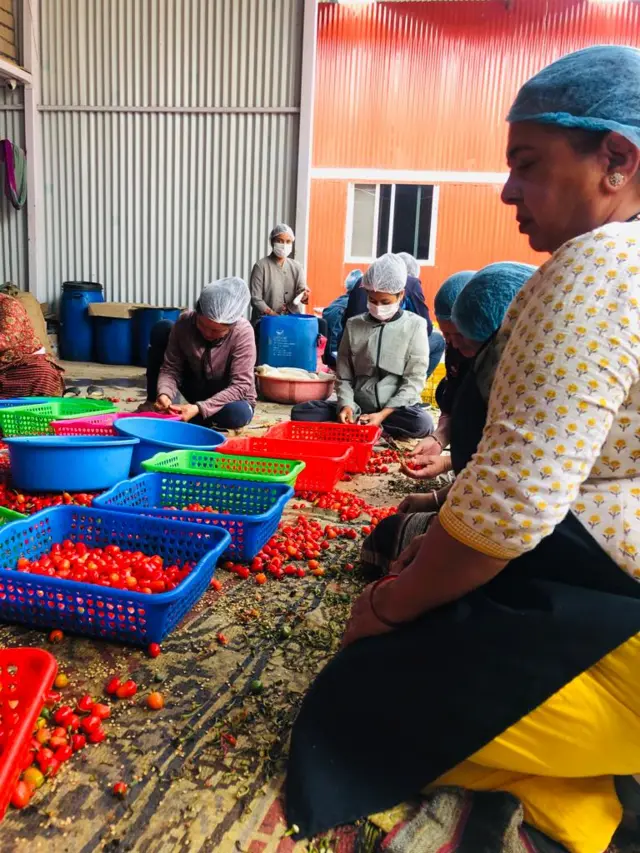 कामदारहरूसँग सङ्गीता