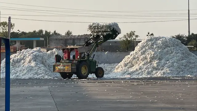 બોટાદ એપીએમસીમાં કડદા વ્યવસ્થા, કોટન સબયાર્ડ, કોટન અને બીજી જણસોનો વેપાર શરૂ, આમ આદમી પાર્ટી અને રાજુ કરપડા તથા પ્રવીણ રામ, બીબીસી ગુજરાતી 