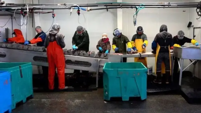 "Lacagta aan halkan ka helo waxay ka badan tahay labanlaab tan gudaha Mexicali laga sameeyo," ayuu yiri.