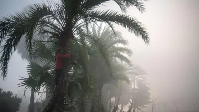 বাংলাদেশের শীতলতম মাস জানুয়ারি।