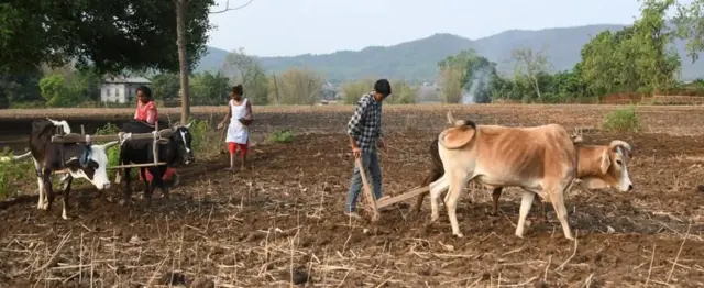 हलो जोतिरहेका किसानहरू