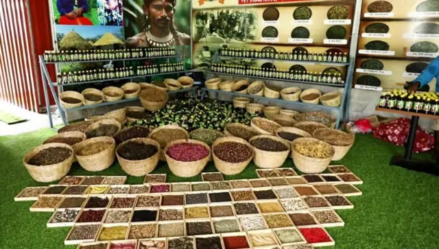 हाक्कीपिक्की तेल हा काय प्रकार आहे? हे तेल कुठं मिळतं?