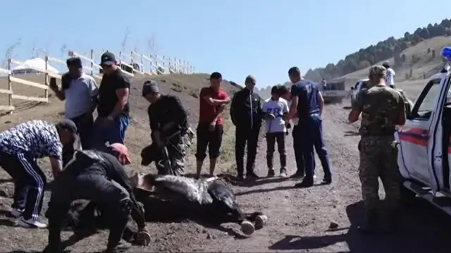 Марага жетпей жолдо күйүгүп кулаган күлүктөрдүн бирөөсү