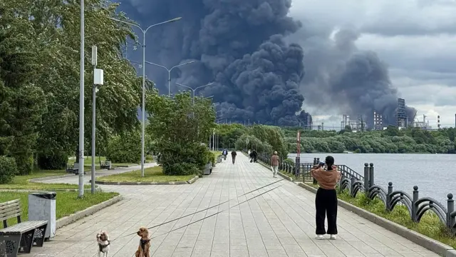 На берегу реки стоит девушка с двумя собаками на поводке и, судя по всему, фотографирует огромные столбы черного дыма вдали