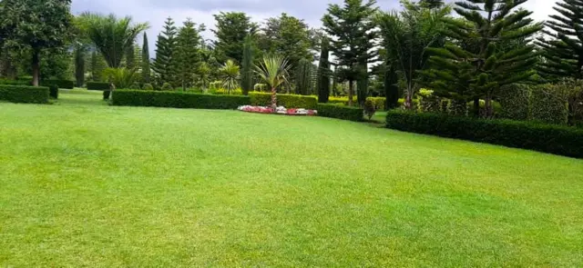 መዘናግዒ ቦታ