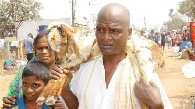 జంతుబలి