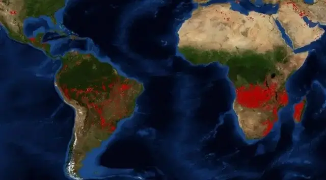 Carte de la NASA montrant les zones les plus touchées par les feux de foret. 