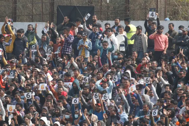 क्रिकेट 