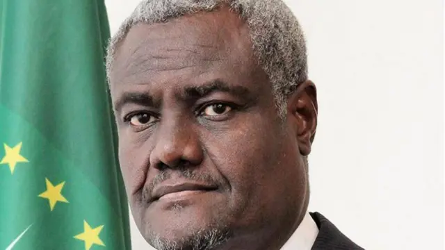 Komishinera Komishinii Gamtaa Afrikaa