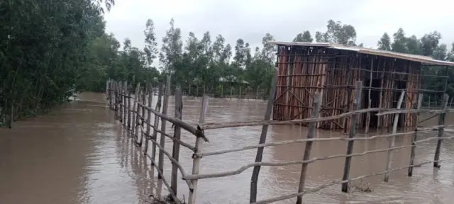 Qe'ee lolaan liqimsaa jiru