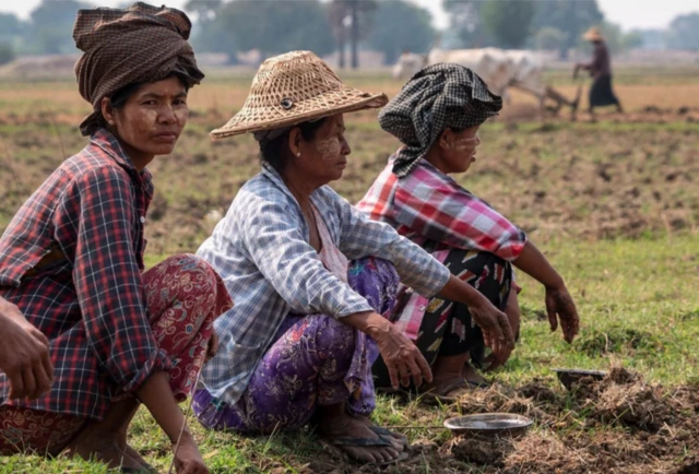 Farmer women crouching in a field