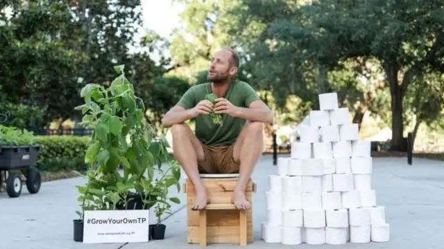 ٹوائلٹ پیپر، بولڈو، پتّے