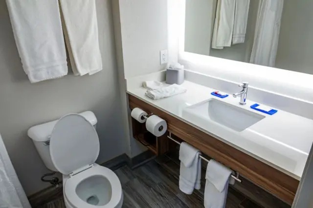 Bir otel odasının tuvaletinde asılı havlular 