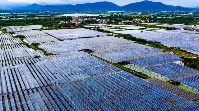 浙江湖州一处太阳能发电场上的大片光伏板（19/10/2025）