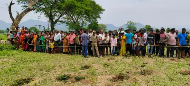 ఏనుగులు 