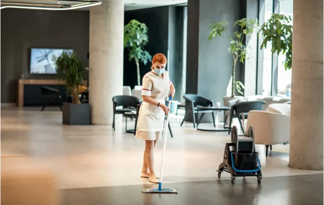 ملازمت پیشہ خاتون 