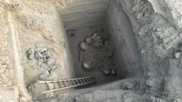 Ossos ao fundoaposta esportefossa