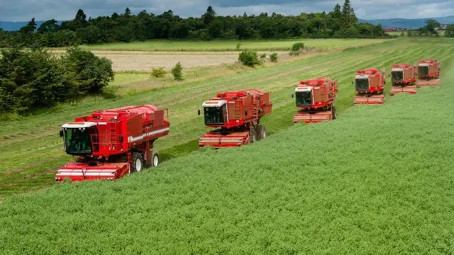 Комбайны на гороховом поле