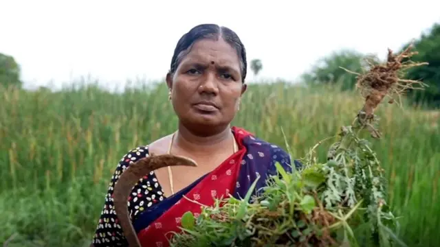 మావోయిస్టు ఉద్యమం, నక్సలైట్లు, మహిళా కమాండర్, అమిత్‌షా