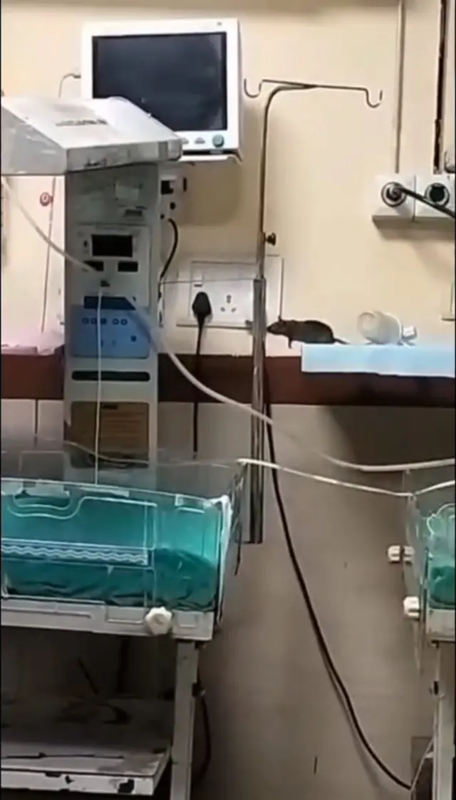 सोशल मीडिया पर अस्पताल का एक कथित वीडियो वायरल है जिसमें एनआईसीयू में चूहा दिख रहा है