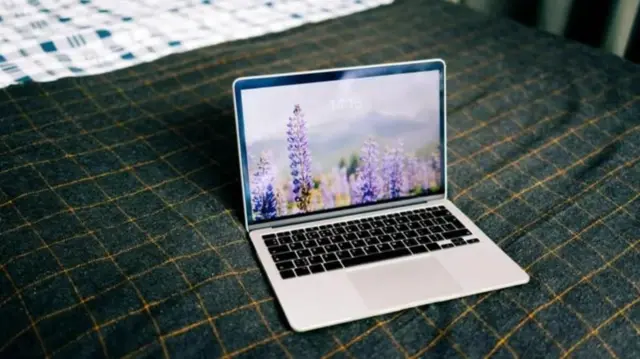 બીબીસી ગુજરાતી નેચર કુદરત જંગલ હરિયાળી સુગંધ તબિયત આરોગ્ય હેલ્થ શરીર ઝાડ બેક્ટેરિયા છોડ