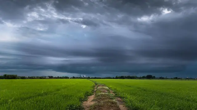 ગુજરાત હવામાન, વરસાદ, ચોમાસું