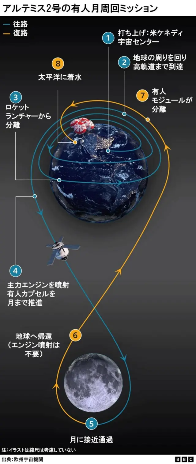 アルテミス2計画の有人宇宙船の月周回の計画を示す縦長の図。地球が上部に、月が下部に描かれており、その周りと間に八の字の航路が示されている。宇宙船は地球を周回してから月に向かい、月の裏側を回って地球に戻る