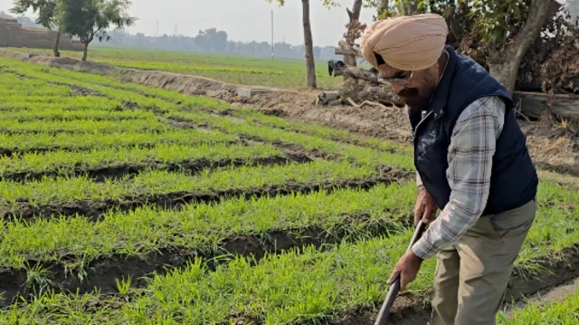 ਹੁਸ਼ਿਆਰ ਸਿੰਘ