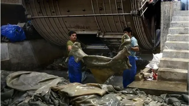 ট্যানারিতে চামড়া প্রক্রিয়াজাত করা হচ্ছে