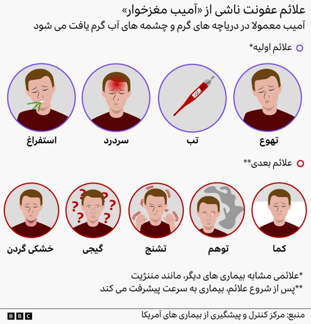 اینفوگرافیک بخش روزنامه نگاری بصری بی‌بی‌سی علائم عفونت را نشان می‌دهد. این علائم شامل استفراغ، سردرد، تب، تهوع، خشکی گردن، گیجی، تشنج، توهم و کما هستند. تصویر مردی هر یک از این علائم را درون یک دایره نمایش می‌دهد