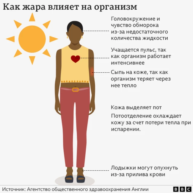 На рисунке показано, как жара воздействует на организм человека
