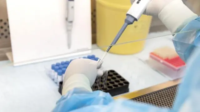 ਲੈੱਬ ਟੈਸਟਿੰਗ