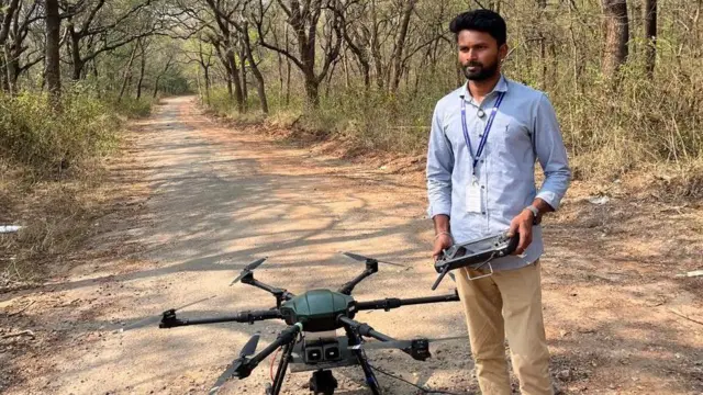 கோவை, யானைகள், வனத்துறை