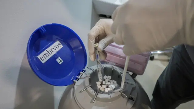 Mãos com luva retiram embriões de um frasco de nitrogênio líquido