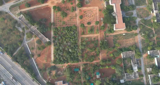 అనంతపురం-మియావాకీ